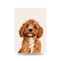 'Cavoodle Cute' Poster