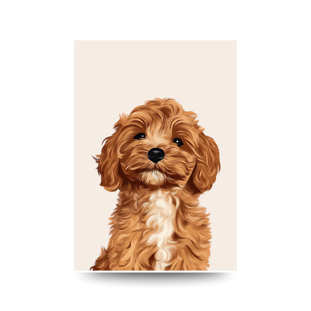 'Cavoodle Cute' Poster