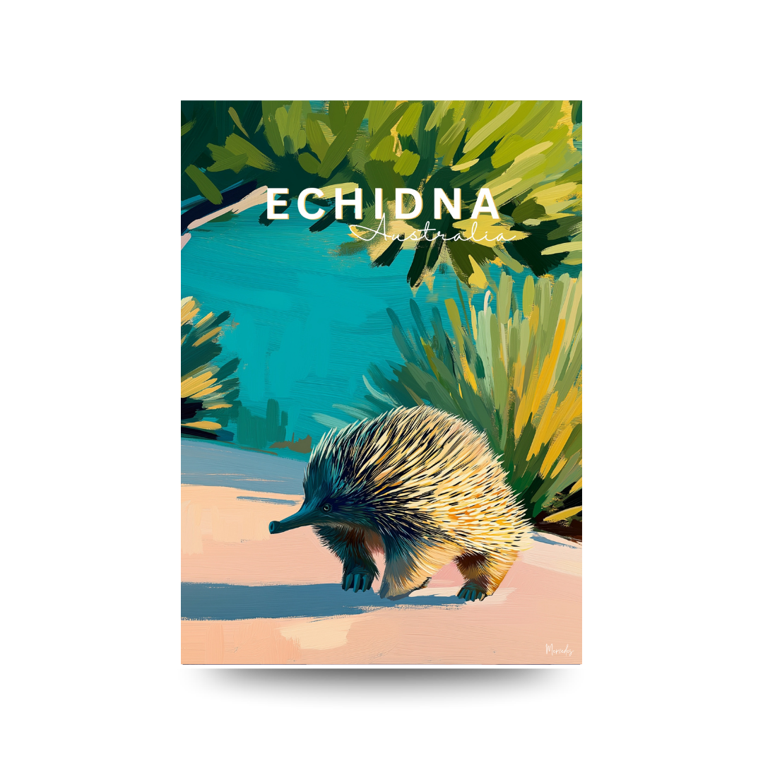 Poster of an echidna in a natural setting with the word 'ECHIDNA' at the top.