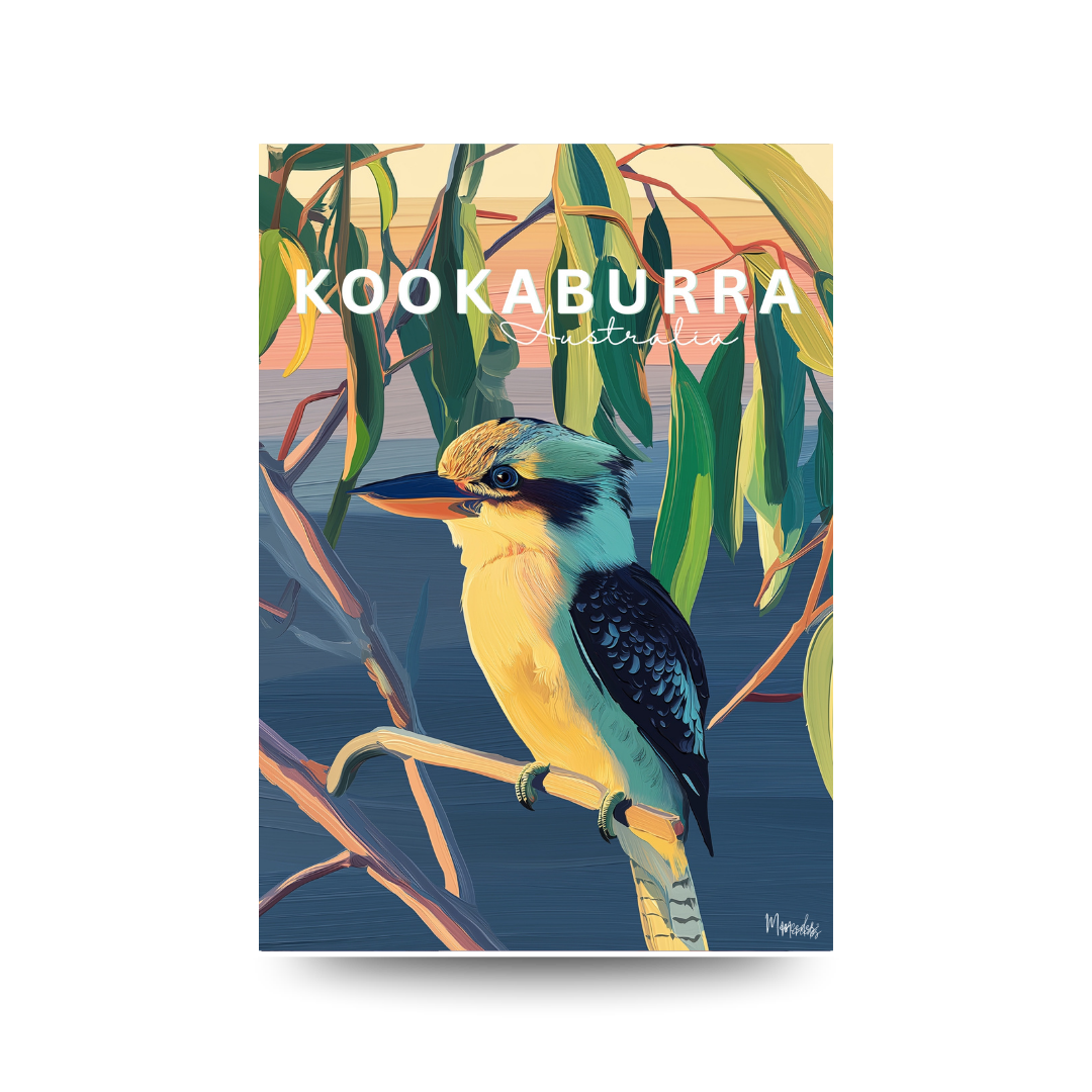 Poster of a Kookaburra bird with eucalyptus leaves on a white background