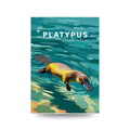 Illustrated print of a platypus swimming underwater in teal blue water, text reads "PLATYPUS Australia".