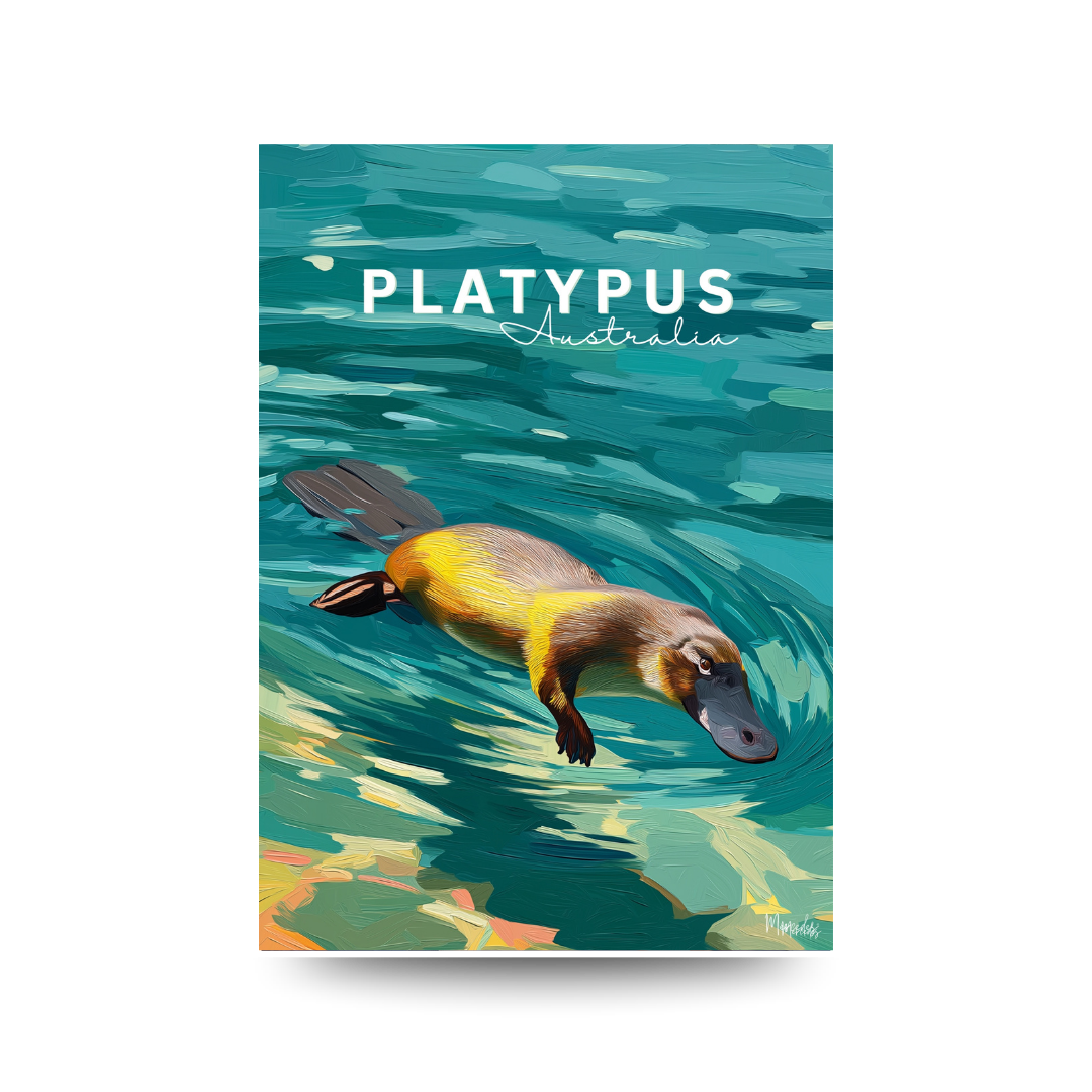 Illustrated print of a platypus swimming underwater in teal blue water, text reads "PLATYPUS Australia".
