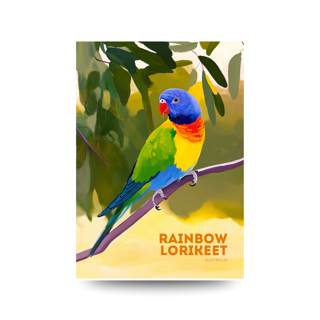 'Rainbow Lorikeet' Australia Poster