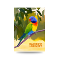 'Rainbow Lorikeet' Australia Poster