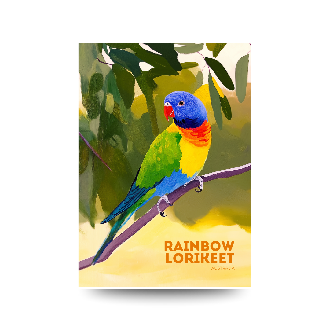 'Rainbow Lorikeet' Australia Poster