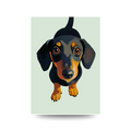 'Sausage Dog' Poster