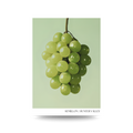 Bunch of green grapes on a light green background with 'Semillon Hunter Valley' text.