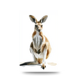 Watercolour kangaroo on a white background