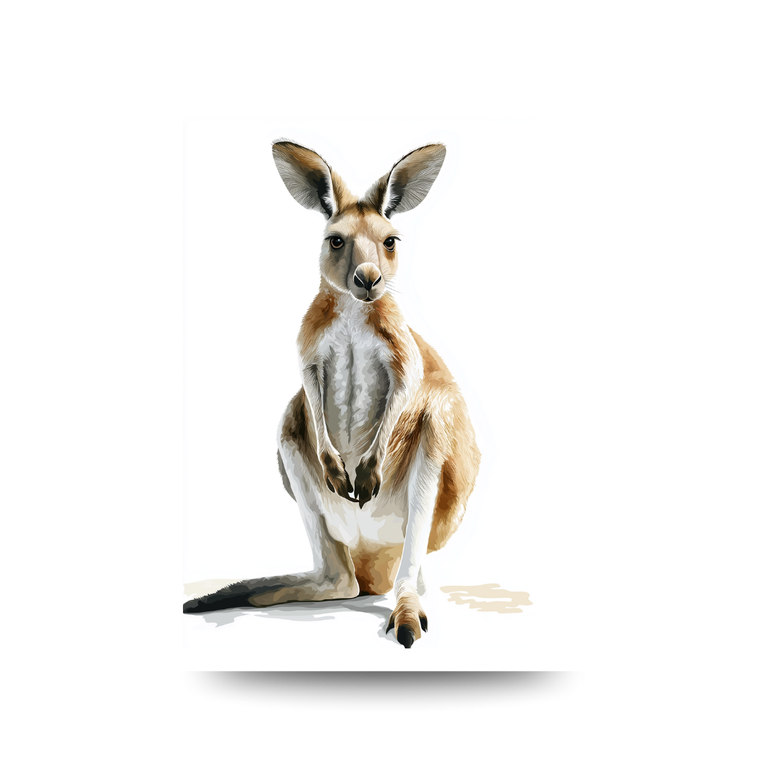 Watercolour kangaroo on a white background